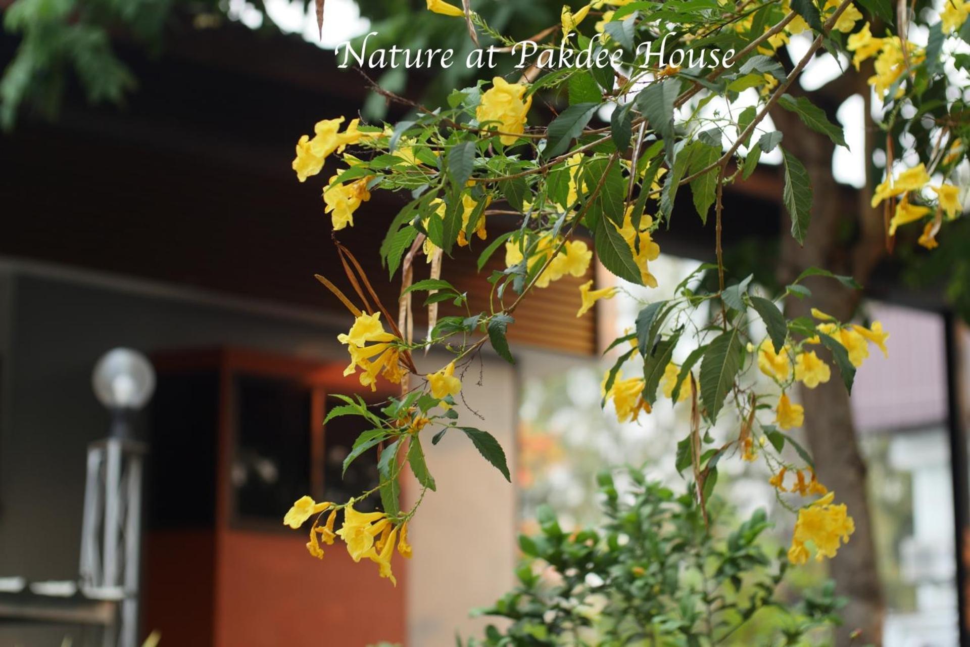 Pakdee House Hotel Udonthani Kültér fotó